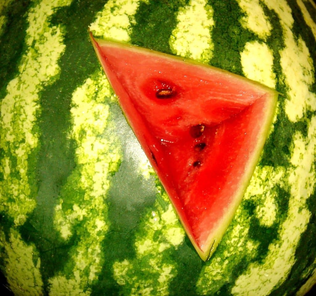 Watermelon DIY Fleshlight
